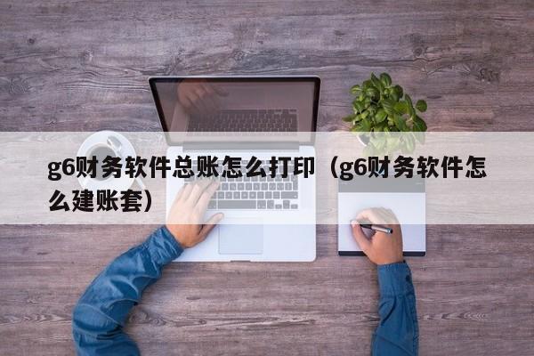 g6财务软件总账怎么打印(g6财务软件怎么建账套)