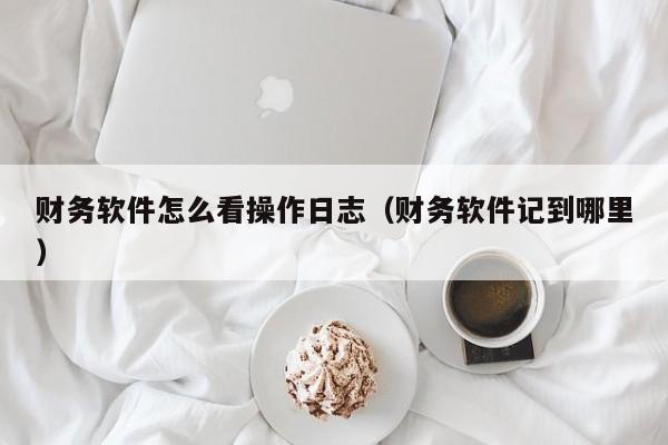财务软件怎么看操作日志(财务软件记到哪里)