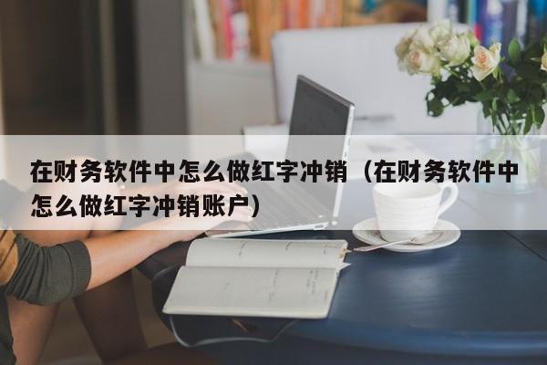 在财务软件中怎么做红字冲销(在财务软件中怎么做红字冲销账户)