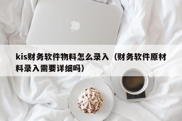 kis财务软件物料怎么录入(财务软件原材料录入需要详细吗)