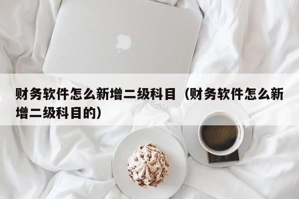 财务软件怎么新增二级科目(财务软件怎么新增二级科目的)