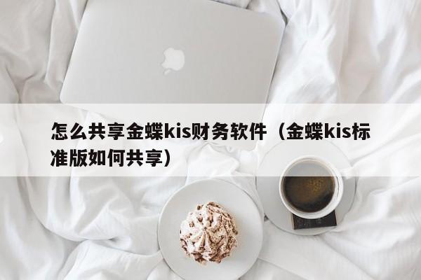 怎么共享金蝶kis财务软件(金蝶kis标准版如何共享)
