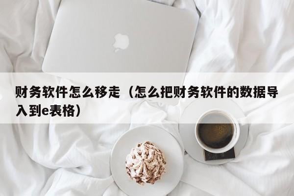 财务软件怎么移走(怎么把财务软件的数据导入到e表格)