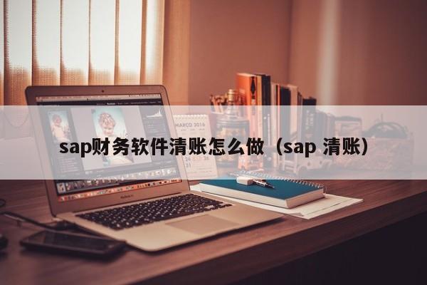 sap财务软件清账怎么做(sap 清账)