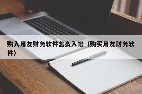 购入用友财务软件怎么入帐(购买用友财务软件)