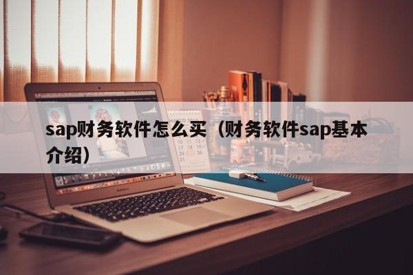 sap财务软件怎么买(财务软件sap基本介绍)
