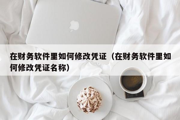在财务软件里如何修改凭证(在财务软件里如何修改凭证名称)