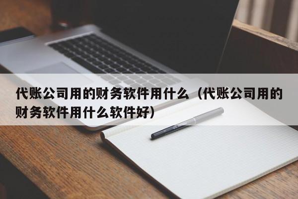 代账公司用的财务软件用什么(代账公司用的财务软件用什么软件好)