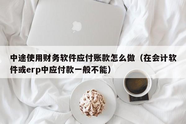 中途使用财务软件应付账款怎么做(在会计软件或erp中应付款一般不能)