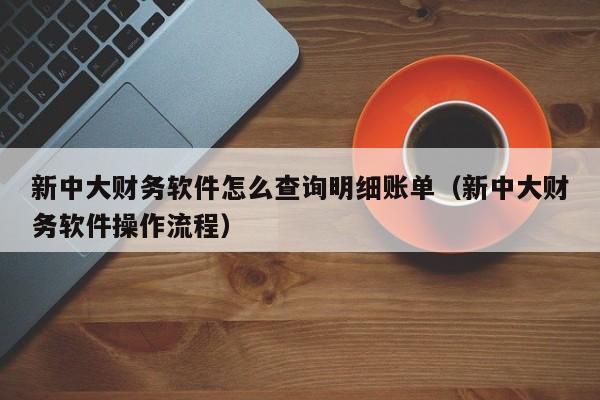 新中大财务软件怎么查询明细账单(新中大财务软件操作流程)