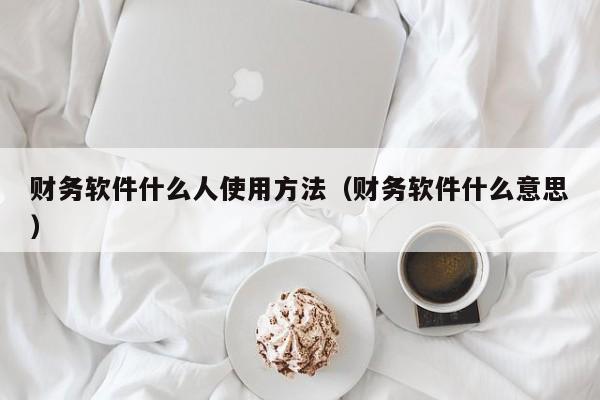 财务软件什么人使用方法(财务软件什么意思)