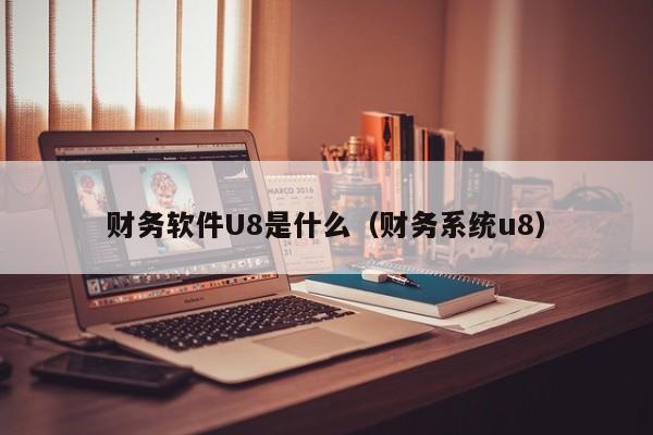 财务软件U8是什么(财务系统u8)