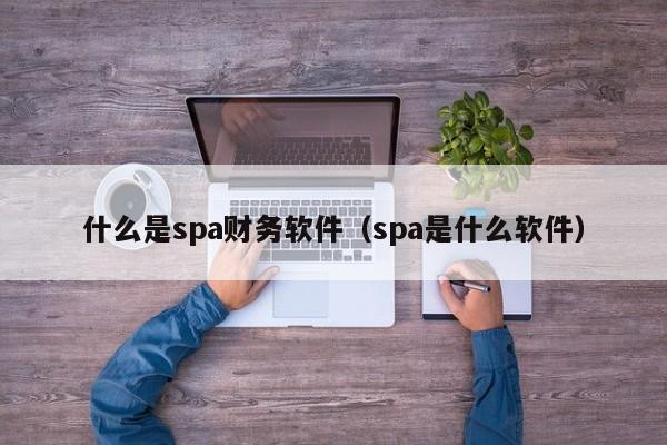 什么是spa财务软件(spa是什么软件)