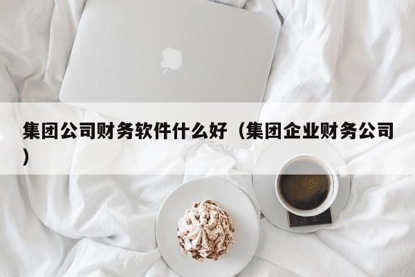 集团公司财务软件什么好(集团企业财务公司)
