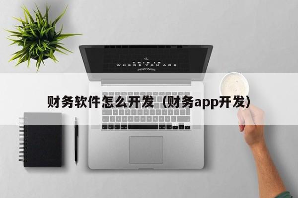 财务软件怎么开发(财务app开发)