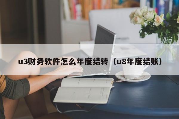 u3财务软件怎么年度结转(u8年度结账)