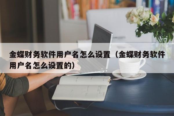 金蝶财务软件用户名怎么设置(金蝶财务软件用户名怎么设置的)