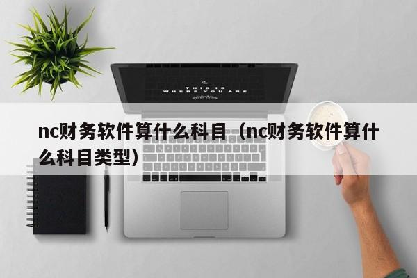 nc财务软件算什么科目(nc财务软件算什么科目类型)