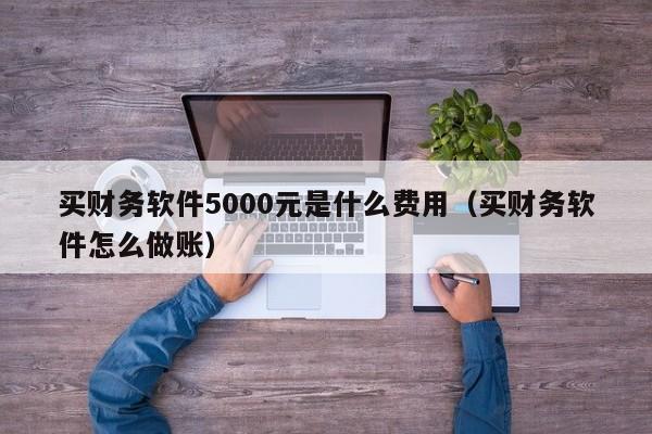 买财务软件5000元是什么费用(买财务软件怎么做账)
