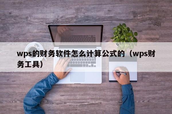 wps的财务软件怎么计算公式的(wps财务工具)