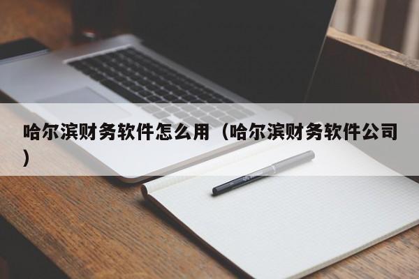 哈尔滨财务软件怎么用(哈尔滨财务软件公司)