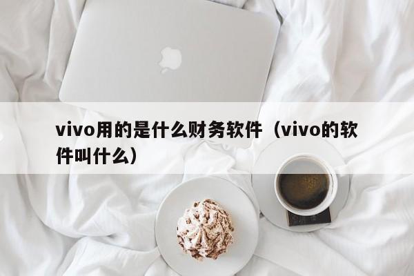 vivo用的是什么财务软件(vivo的软件叫什么)