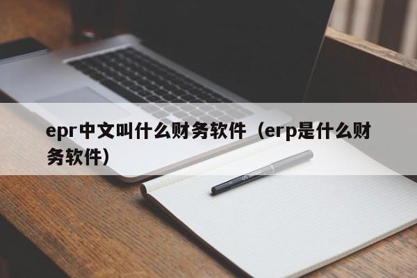 epr中文叫什么财务软件(erp是什么财务软件)
