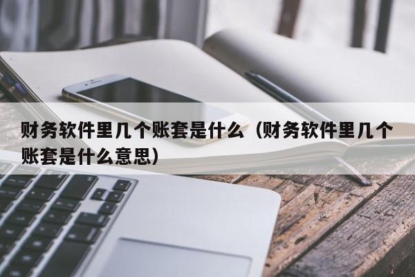 财务软件里几个账套是什么(财务软件里几个账套是什么意思)