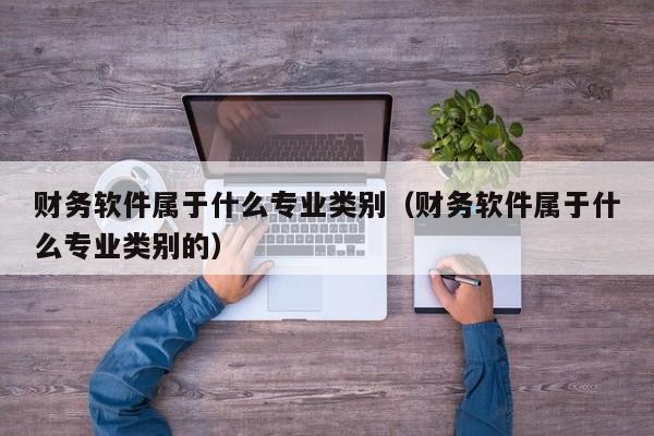 财务软件属于什么专业类别(财务软件属于什么专业类别的)